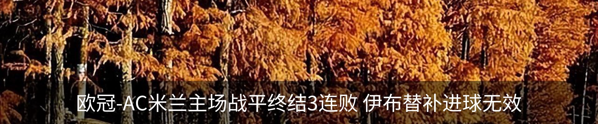 资讯动态