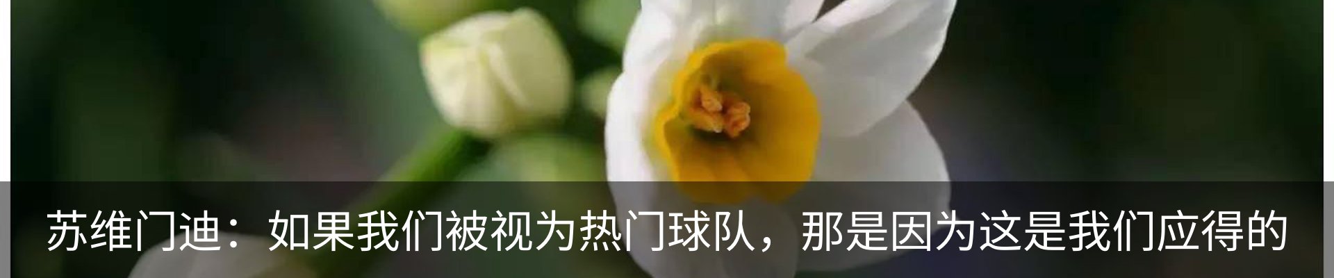 资讯动态