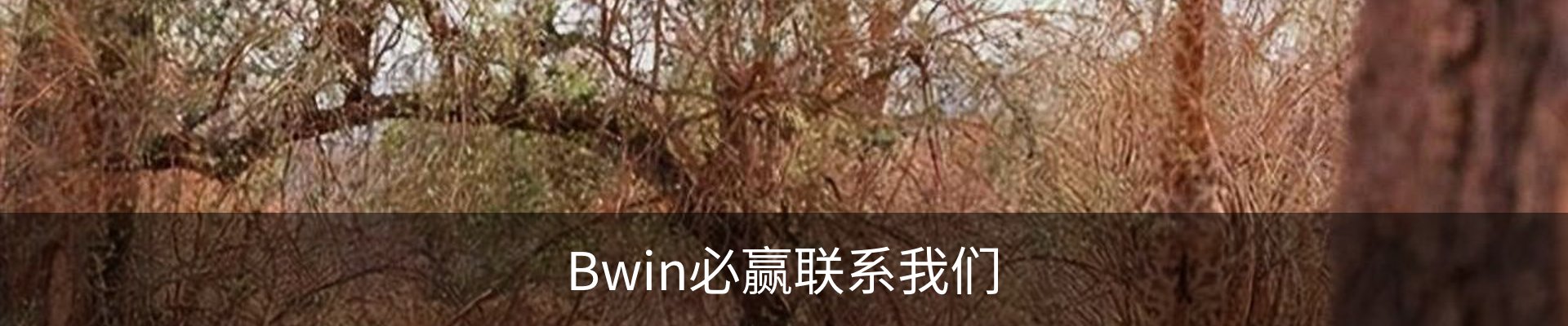 Bwin必赢联系我们
